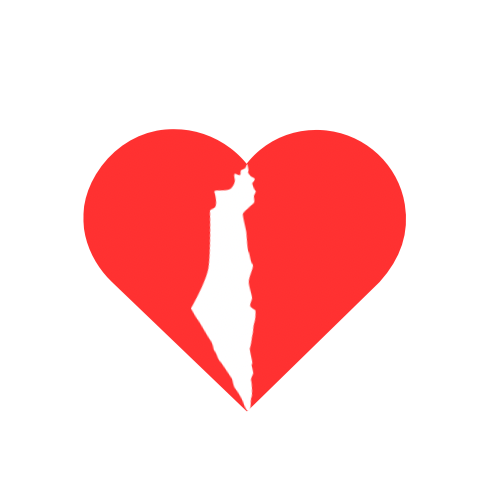 My heart is with Israel- hoodie